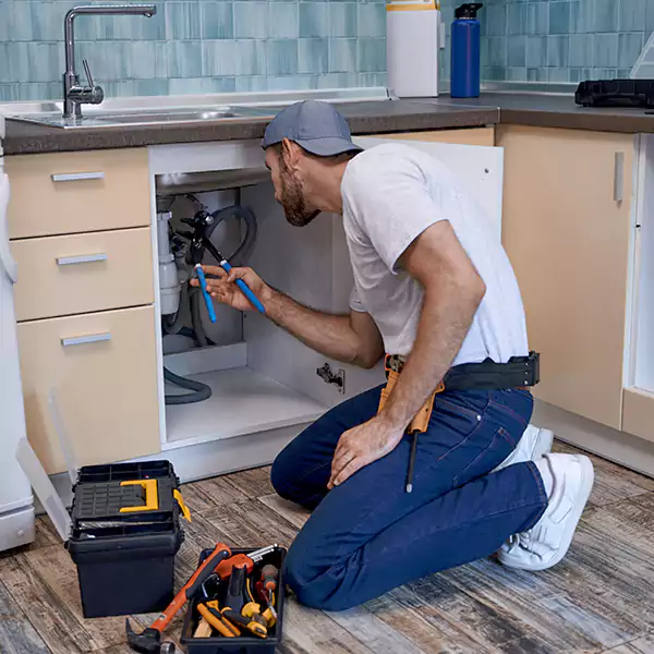 Charlotte Plumbing Pro logo