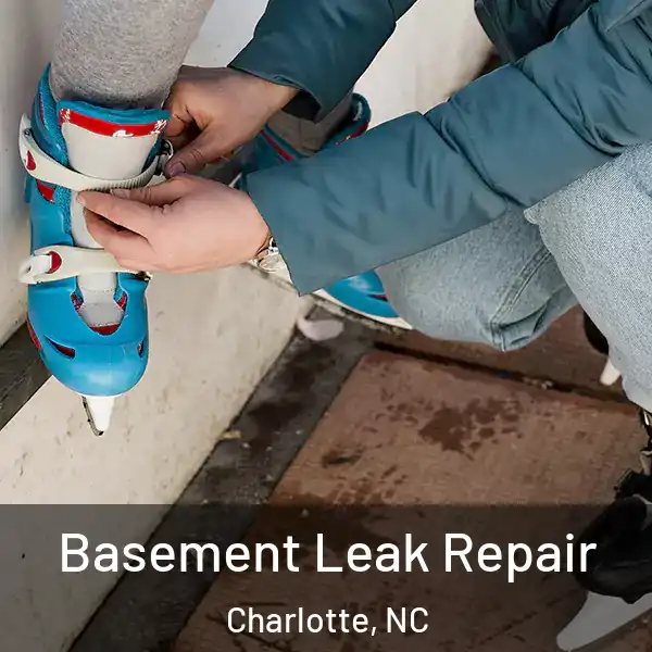  Basement Leak Repair Charlotte, NC