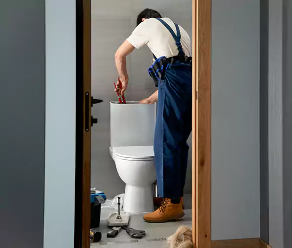 Professional Plumbers for Toilet Bowl Replacement in Charlotte, NC: Schedule Affordable Toilet Replacement Services With Us
