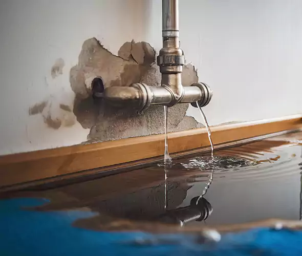 Professional Water Damage Restoration Experts in Charlotte, NC — Fast, Reliable & Certified