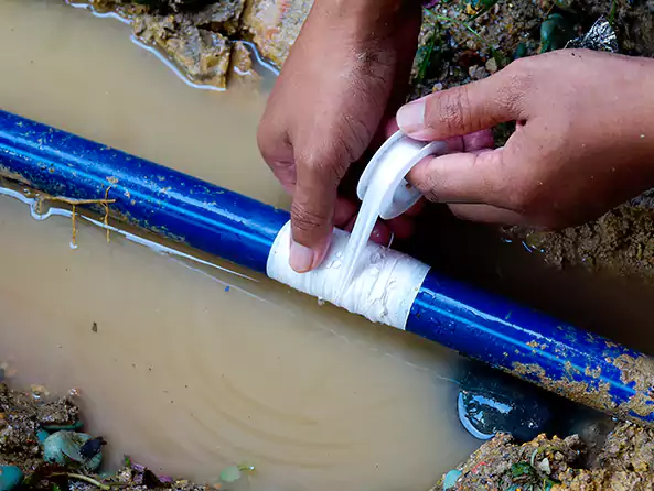  Why Choose Charlotte Plumbing Pro for Leak Detection in Charlotte, NC?]