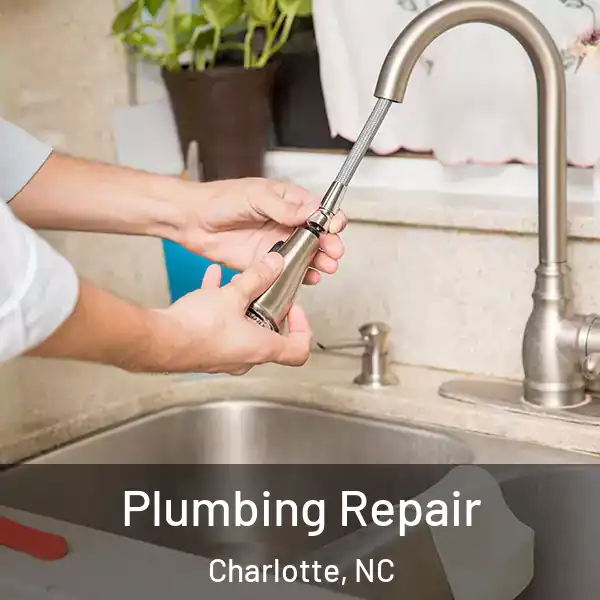  Plumbing Repair Charlotte, NC