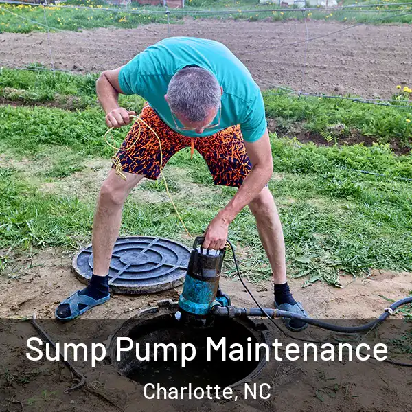  Sump Pump Maintenance Charlotte, NC