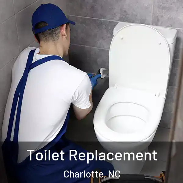  Toilet Replacement Charlotte, NC