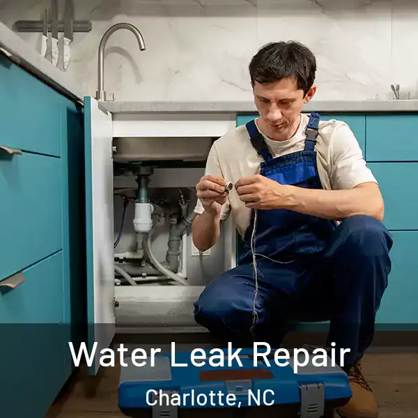  Water Leak Repair Charlotte, NC